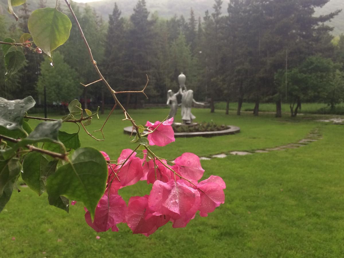 Jermuk Olympia Sanatorium Hotell Exteriör bild